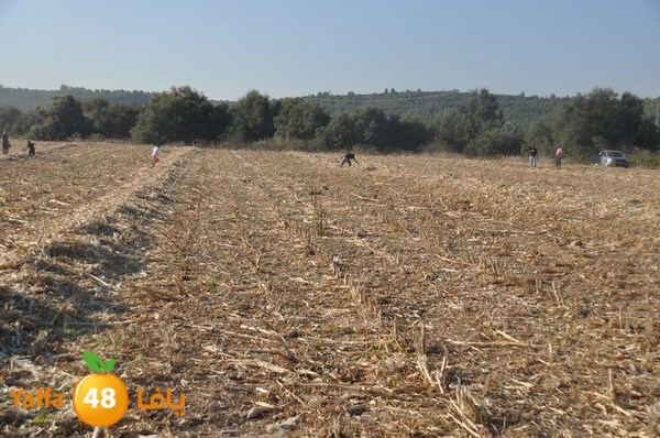 7amam lud monir 908 (7).JPG